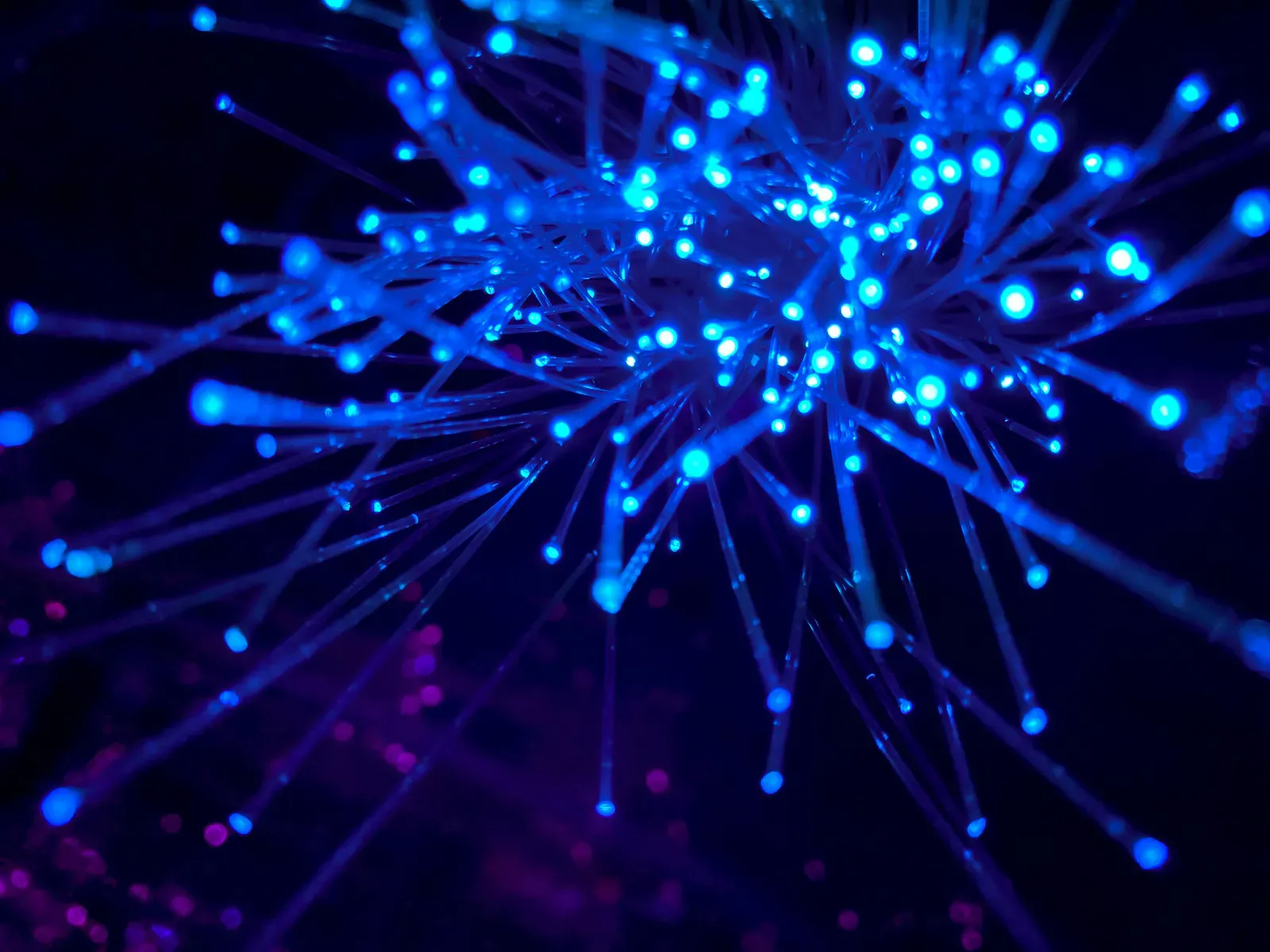 Close-up of blue fibre-optic strands glowing against a black background