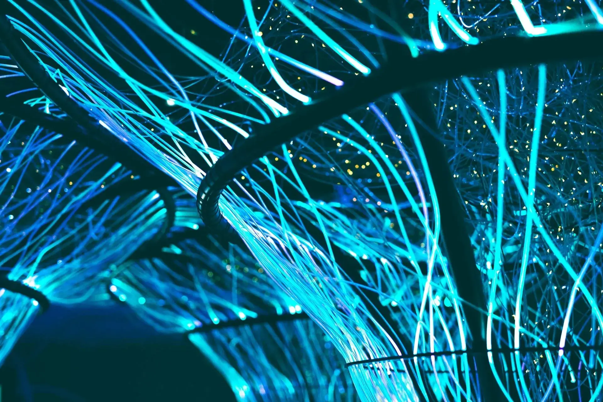 A dense bundle of fibre-optic strands lit blue, fanning out from a single duct.