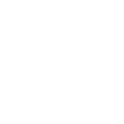 Vibhora Shopify Agency Logo